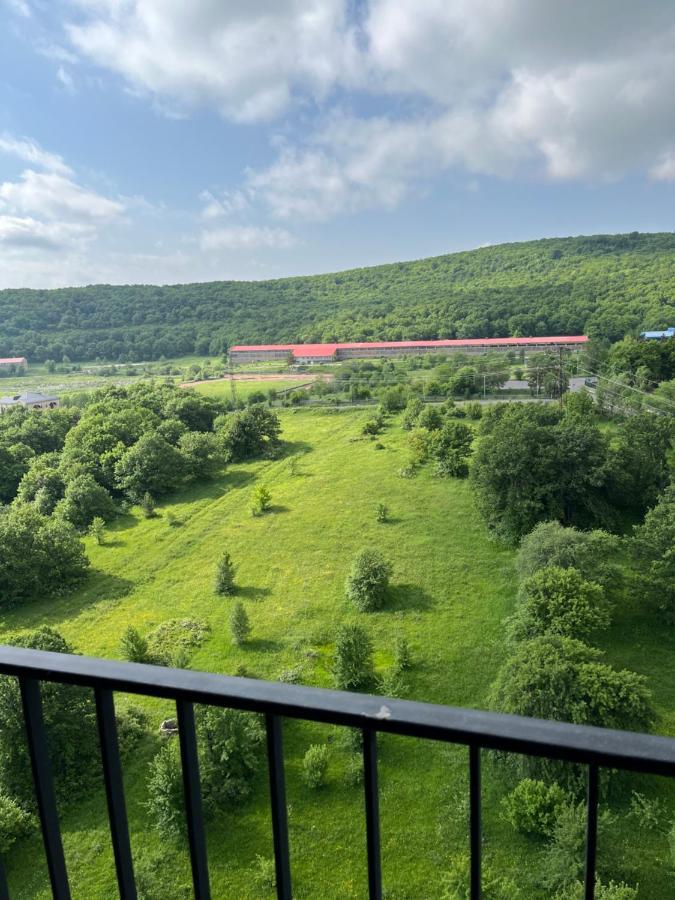 Цахкадзор, Tsaxkadzor, Kechi House Apartment 300 ภายนอก รูปภาพ